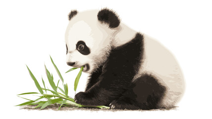 Panda Eating Bamboo Illustration