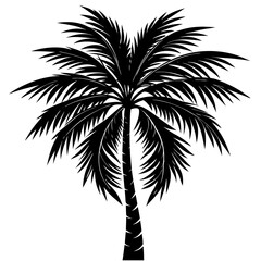 palm tree silhouette