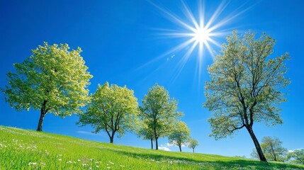 Fototapeta premium Bright Spring Landscape with Lush Green Trees and Clear Blue Sky