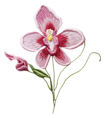 Obraz na płótnie Canvas PNG Orchid in embroidery style flower plant inflorescence.