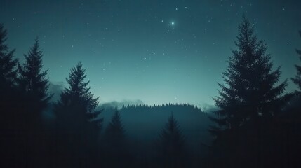 Night in the forest. Silhouetted trees against a starlit sky. Tranquil and serene.