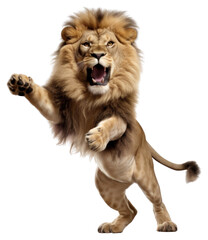 PNG Happy smiling dancing lion mammal animal © Rawpixel.com
