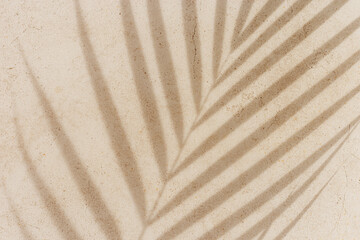 Summer minimal style background with shadow from natural palm leaf on light beige concrete...
