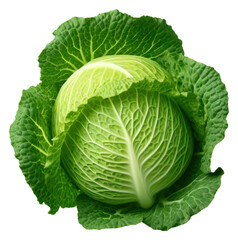 Obraz premium PNG Vegetable cabbage plant food.