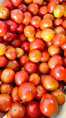 Fresh Red Tomatoes – Organic and Ripe
