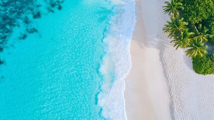 Aerial View of a Serene Tropical Beach with Crystal Clear Water and Lush Palm Trees : Generative AI
