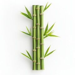 A minimalistic arrangement of bamboo stalks and leaves, showcasing vibrant green colors against a clean white background.