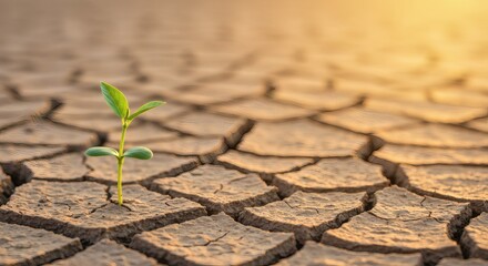AI image A tiny green sprout emerges from cracked, dry earth, symbolizing hope, resilience, and the enduring power of life in harsh conditions.