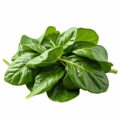 Fototapeta premium Vibrant Fresh Spinach Leaves Abundance of Green Vegetables Healthy Eating Ingredient Rich Nutrients