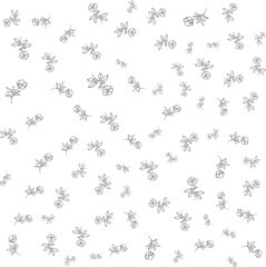 Flower Seamless Pattern