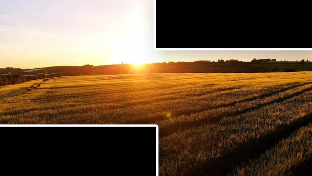 Split Shape Transitions with Text