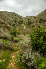 Del Norte Trail Winds Its Way Through A Valley And Over Hills On Santa Cruz Island