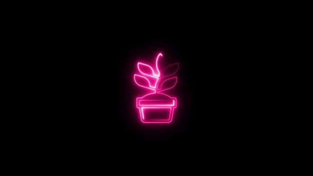 glowing neon Tongat ali in pot nolan icon.Phases plant growing. Planting tree infographic.