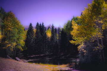 Fototapeta premium Colorado color play in the fall