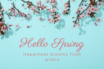 Hello spring, blossoming cherry branches on a blue background, top view, with text