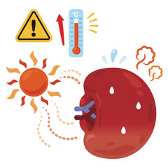 暑さでバテる脾臓のイラスト