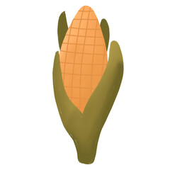 vector illustration of a corn