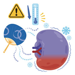 寒さで調子が悪くなる脾臓のイラスト