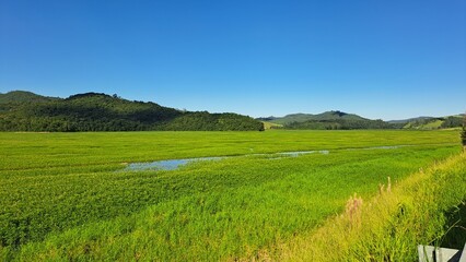 Um paisagem em um dia ensolarado em uma área rural ao lado da represa do rio paraitinga, em salesópolis, estado de São Paulo, Brasil.