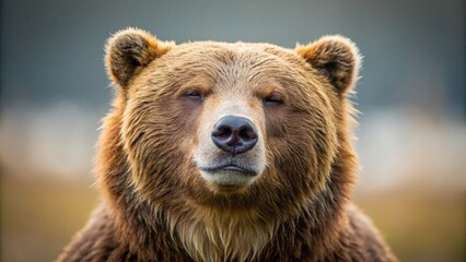 Fototapeta premium Peaceful Grizzly Bear, Eyes Closed, Minimalist Nature Photography