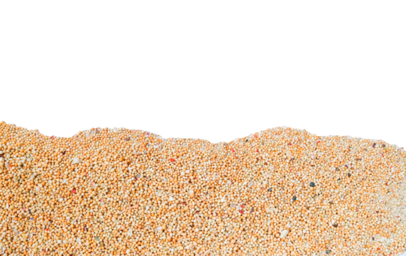 sand beach on white background isolated. shot with high angle view