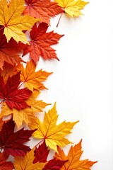 Vibrant Autumn Leaves Forming a Decorative Border on a Plain White Background, Perfect for Seasonal Designs and Festive Celebrations