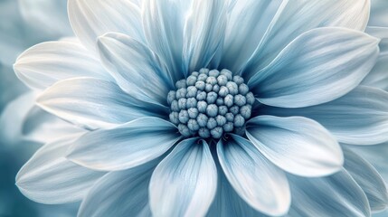 Obraz premium A Close Up View Of A Pale Blue Flower