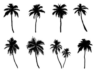 Naklejka premium Collection of silhouettes of palm trees. and drawn isolated illustrations.