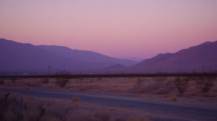 Desert Landscape Underneath a Purple Sunset Sky