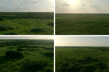 Aerial view of green coastal plains at dawn