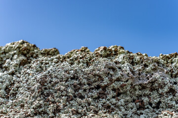 Lichens on volcanic rock / basalt. Pu'u O Kaimukī Park, Honolulu, Oahu, Hawaii. Honolulu Volcanics / Vent deposits
