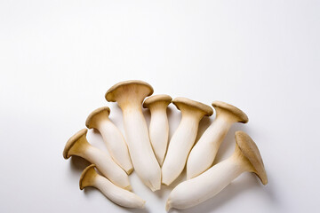 Fototapeta premium 白背景で撮影したエリンギのイメージ写真