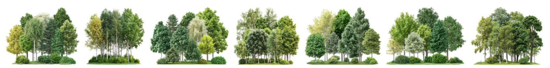 PNG Lush diverse green tree collection, element set on transparent background