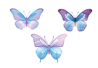 3 pastel pink blue butterflies set, front view, vector, clip art 粉色蝴蝶， 粉紅，粉藍，粉色系