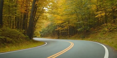 Naklejka premium Empty winding forest road in autumn,Empty asphalt road in autumn forest. Autumnal background,colors, falling, highway, horizontal, journey, photography,9546