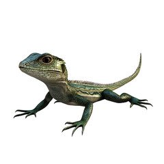 Obraz premium green lizard 