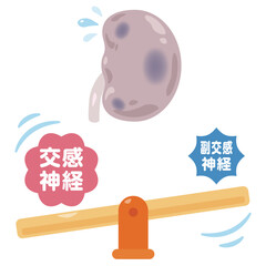 バランスが崩れた自律神経と不健康な腎臓のキャラクターイラスト