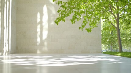 Obraz premium Modern light-filled interior with trees, sunlight, and shadows