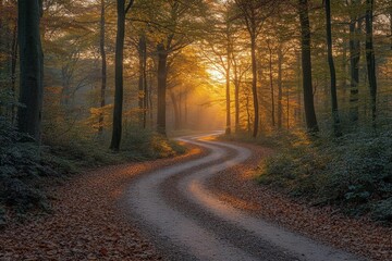 Fototapeta premium Golden Sunlight Path Through Autumn Forest