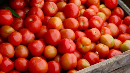 fresh red tomatoes at the traditional market