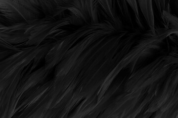 Fototapeta premium Beautiful black grey bird feathers pattern texture background.