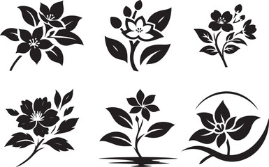 A set of black and white jasmine flower silhouette designs, Jasmine logo design, flower logo, and icons bundle