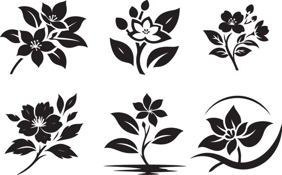 A set of black and white jasmine flower silhouette designs, Jasmine logo design, flower logo, and icons bundle