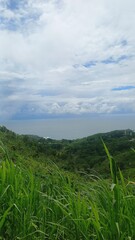 Fototapeta premium The image showcases a stunning view of lush green hills overlooking a vast ocean. In the foreground, tall green grass sways gently, adding depth and texture to the scene.