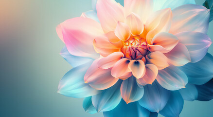 Fototapeta premium pink and white flower