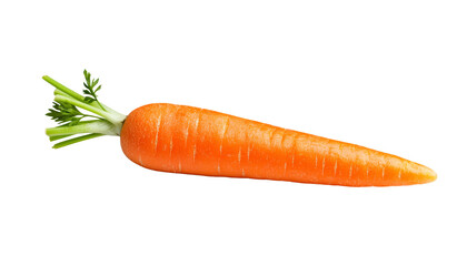 A vibrant orange carrot with green leafy tops, showcasing a fresh and healthy appearance.