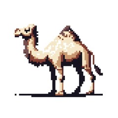 Obraz premium 낙타, 픽셀아트, jpeg (Camel, pixel art, jpeg)