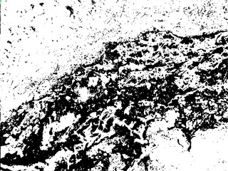 Fototapeta premium black and white grunge background