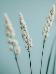 Fototapeta premium Elegant Dried Grasses Against Soft Pastel Blue Background for Minimalist Decor : Generative AI