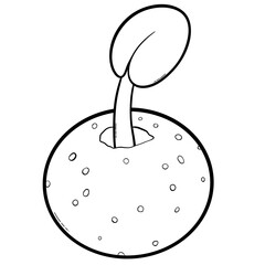 Hand-Drawn Tall Potted Plant Spring Line Art Illustration